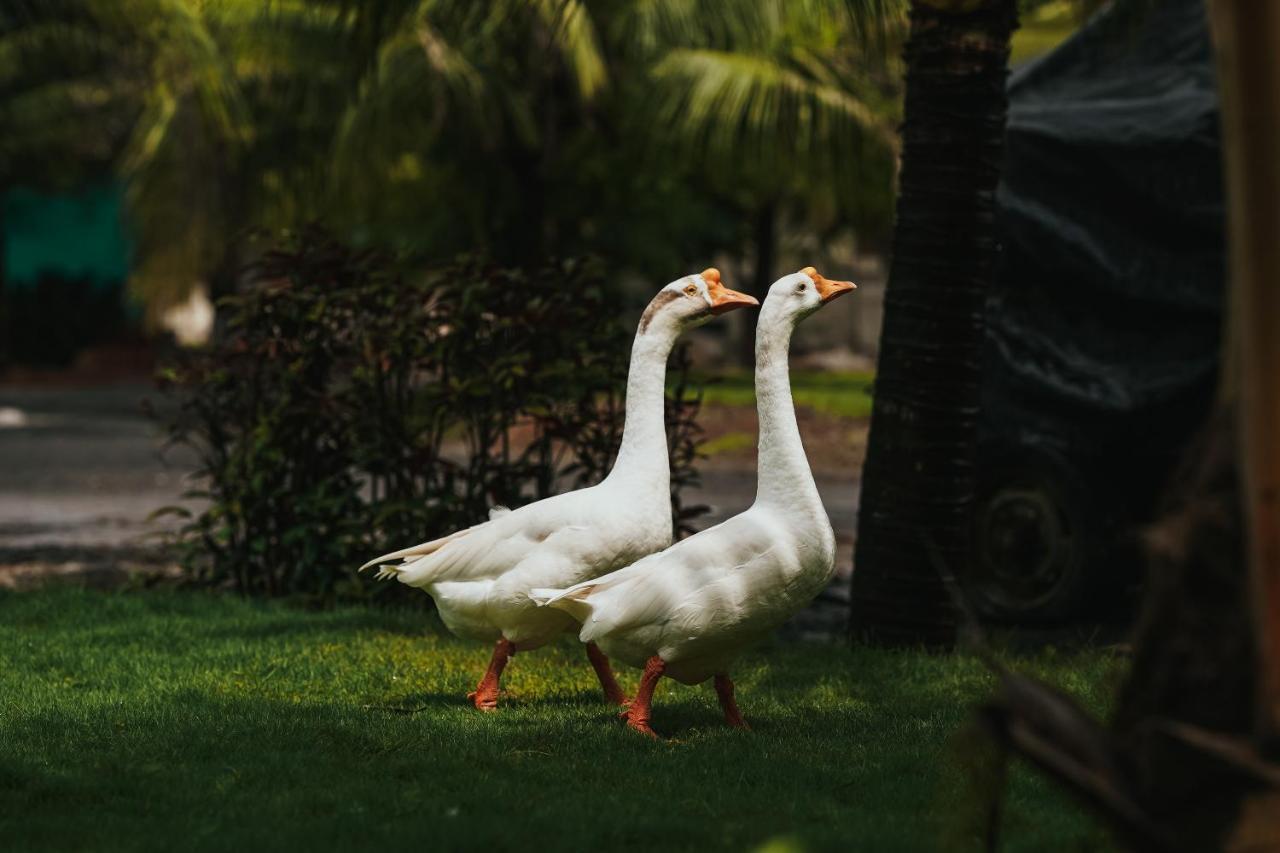 The Kerala Village, Shahapur Shenwa Екстериор снимка